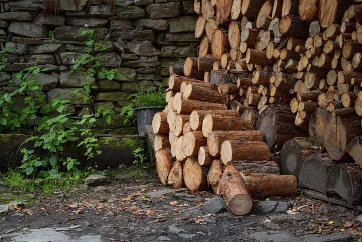Stockage de bois coupés Plaisir