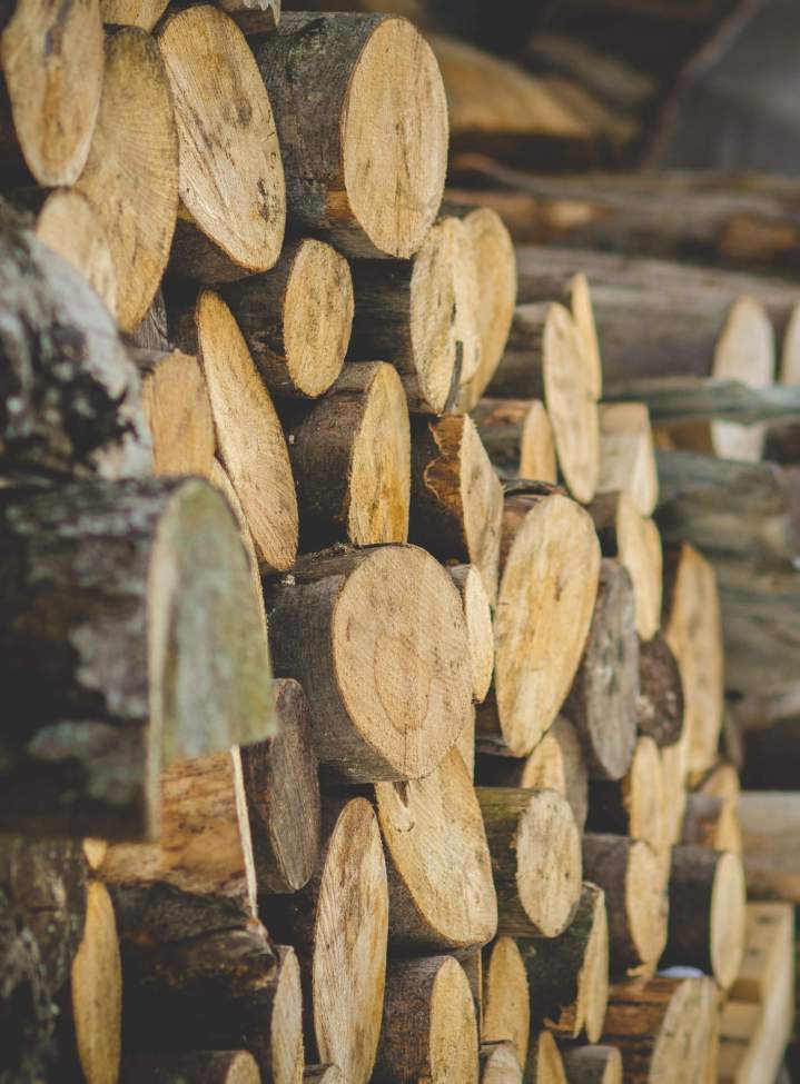 Bois de chauffage coupé Plaisir