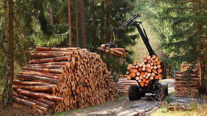 Recevez votre bois directement chez vous, sans tracas.
