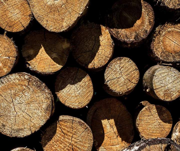 Vente de bois coupé Plaisir